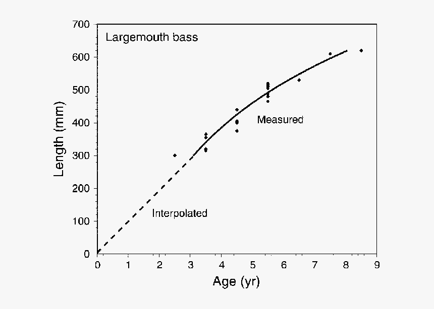 Largemouth Bass Size Chart