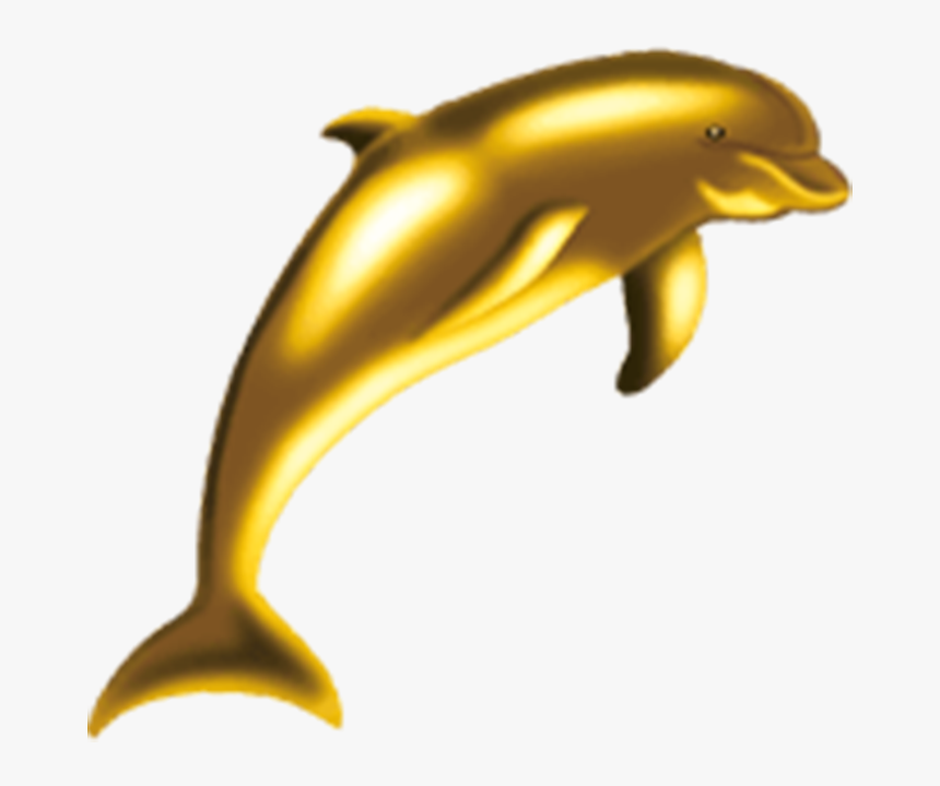 Delfin Dorado, HD Png Download, Free Download