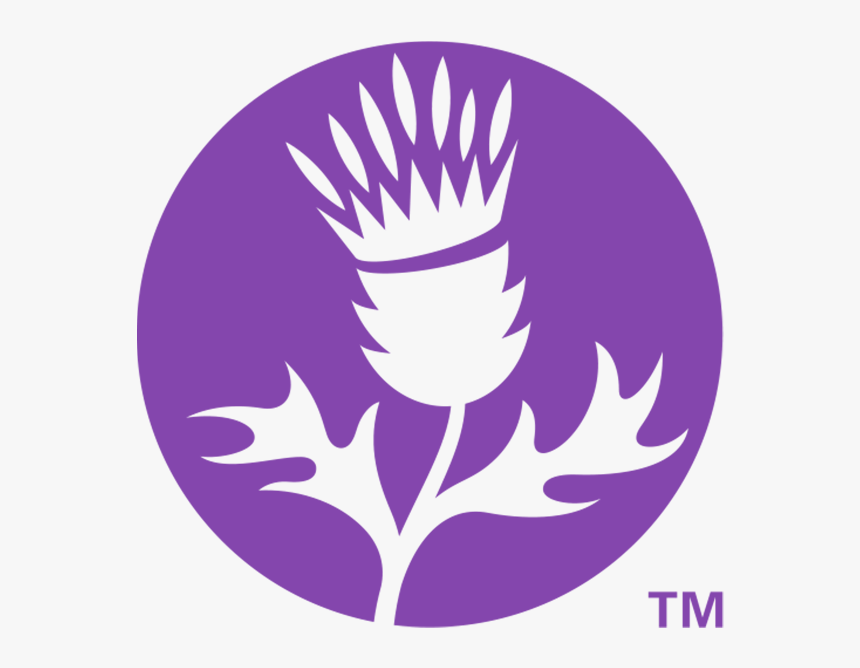 Thistle Png , Png Download - Thistle Farms, Transparent Png, Free Download