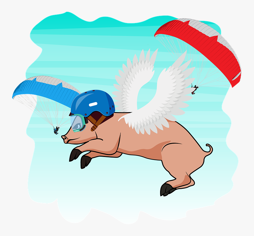 Flying, Pig, Paragliding - Paragliding, HD Png Download, Free Download