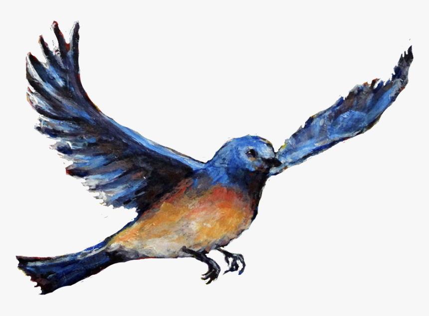 Transparent Watercolor Bird Png - European Swallow, Png Download, Free Download