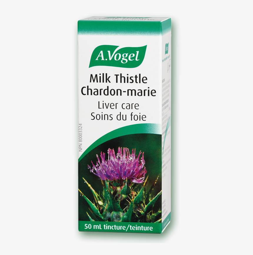 Vogel Milk Thistle - A.vogel, HD Png Download, Free Download