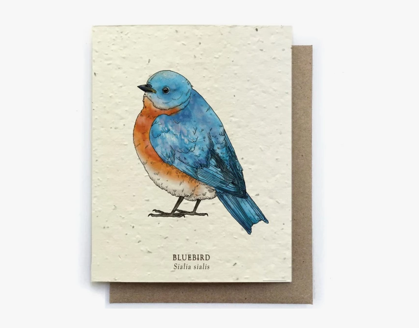 Bird Greeting Cards, HD Png Download, Free Download