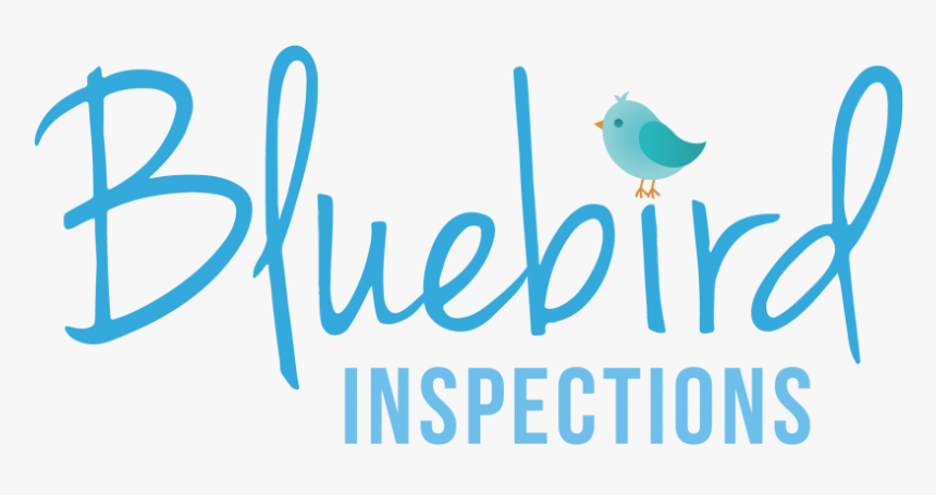 Bb Inspections Full, HD Png Download, Free Download