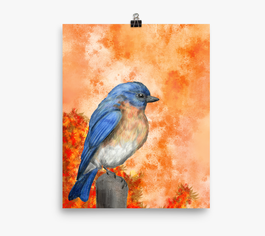 Bluebird Color Art Print - Mountain Bluebird, HD Png Download - kindpng