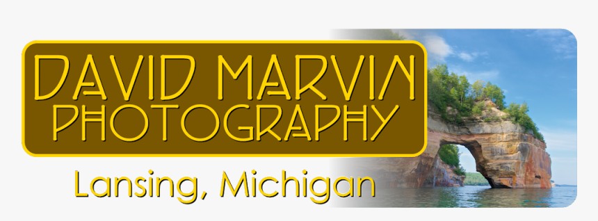 David Marvin Photography - Graphic Design, HD Png Download, Free Download