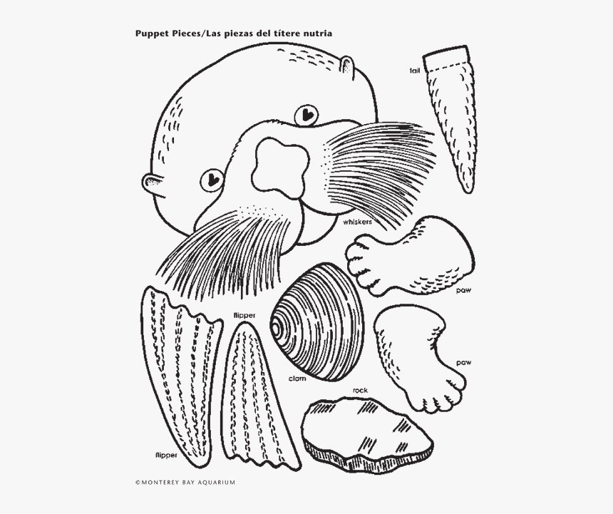 Sea Otter Lunch Bag Puppet - Sea Otter Paper Bag Puppet Cut Out, HD Png Download, Free Download