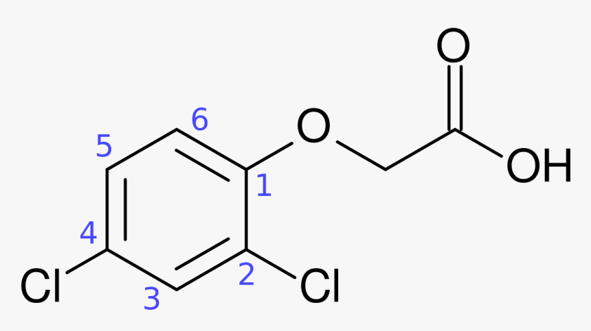 3 Hydroxybenzo A Pyrene, HD Png Download, Free Download