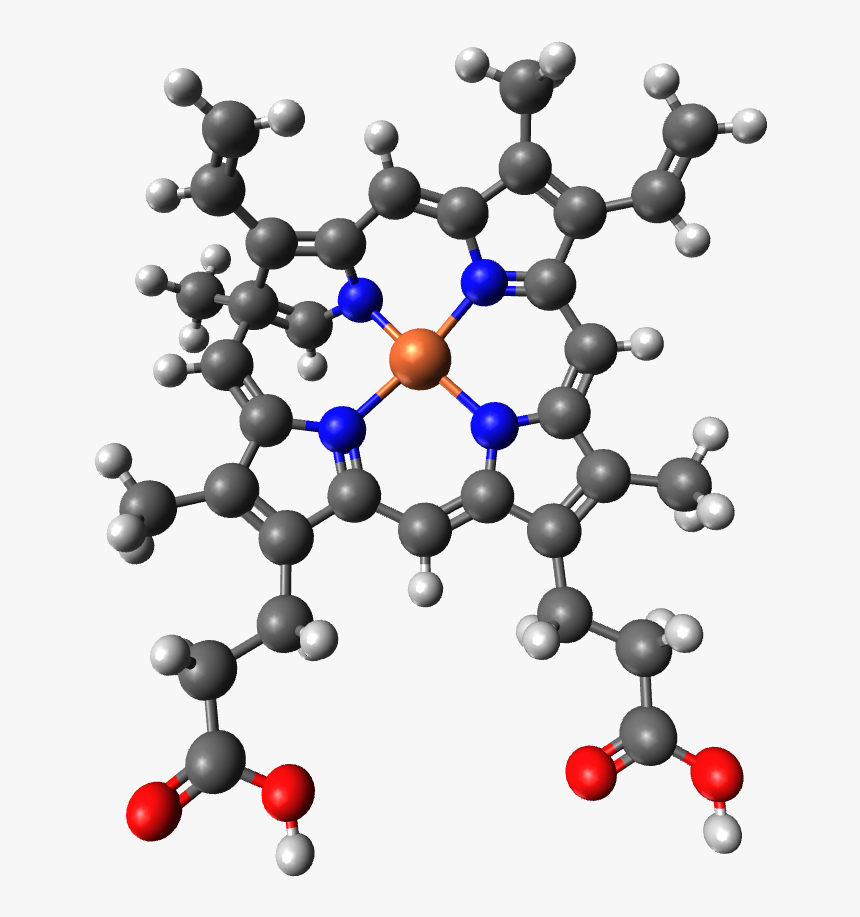 Grupo Hemo - Structure, HD Png Download, Free Download