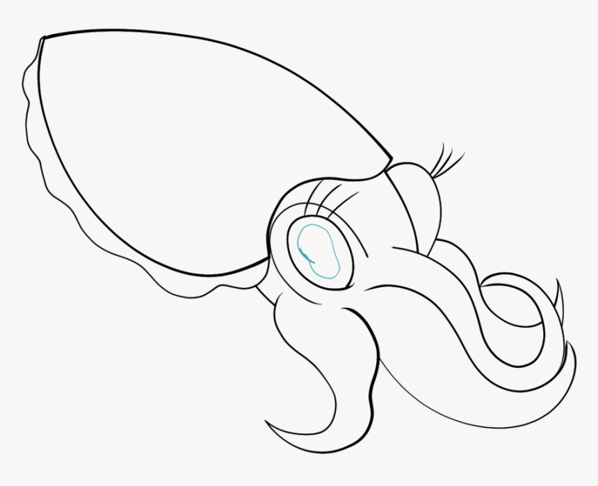 cuttlefish illustration
