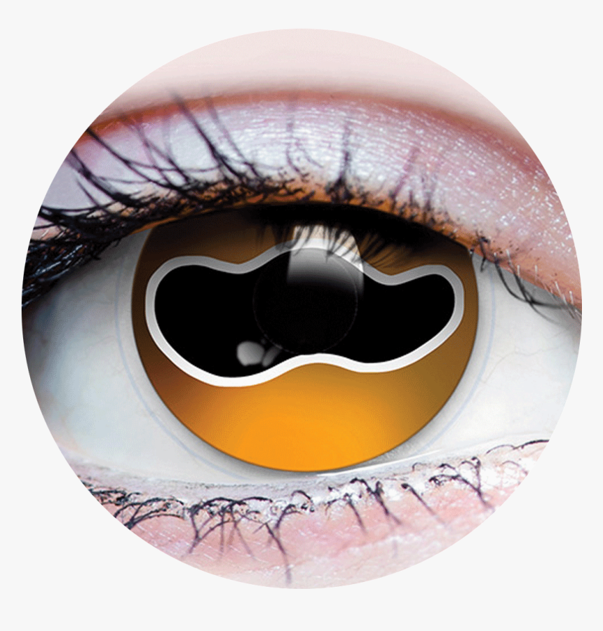 Primal® Cuttlefish"
 Class= - Primal Costume Contact Lenses Yellow, HD Png Download, Free Download