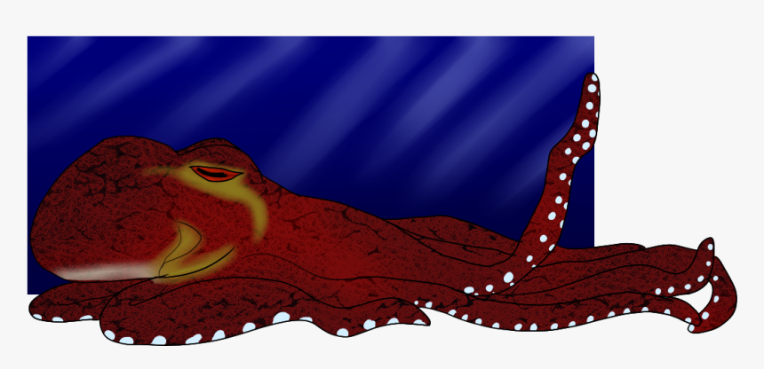 Octopus, HD Png Download, Free Download