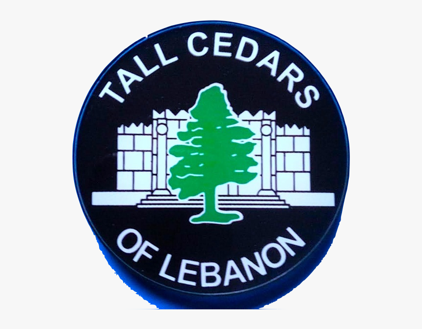 Acrylic Tall Cedar Of Lebanon Auto Emblem - Hydrocephalus, HD Png Download, Free Download