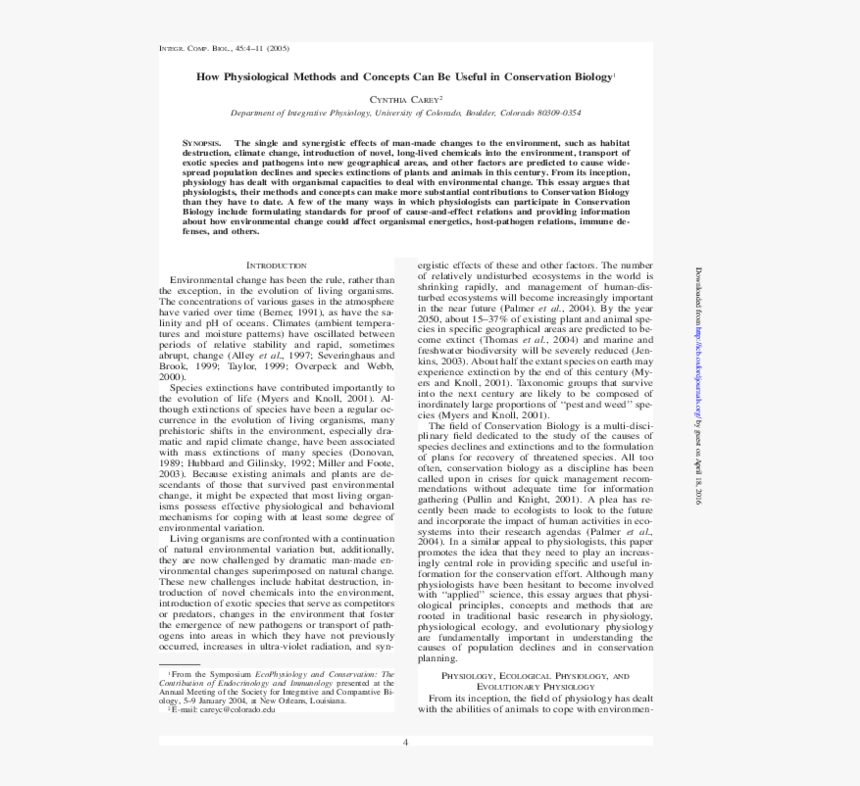 Document, HD Png Download, Free Download