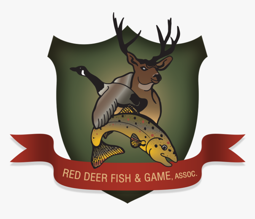 Club Programs Red Deer - Deer, HD Png Download, Free Download