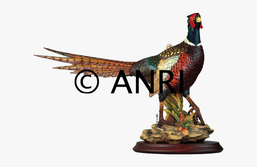 Anri - Pheasant - Gunther - Granget"
title="anri - - Gunther Granget, HD Png Download, Free Download