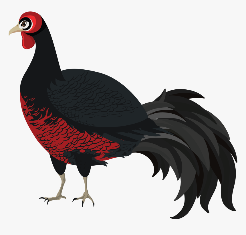 Pheasant, HD Png Download, Free Download