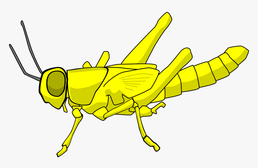 Locust Clip Art - Cartoon Locust, HD Png Download, Free Download