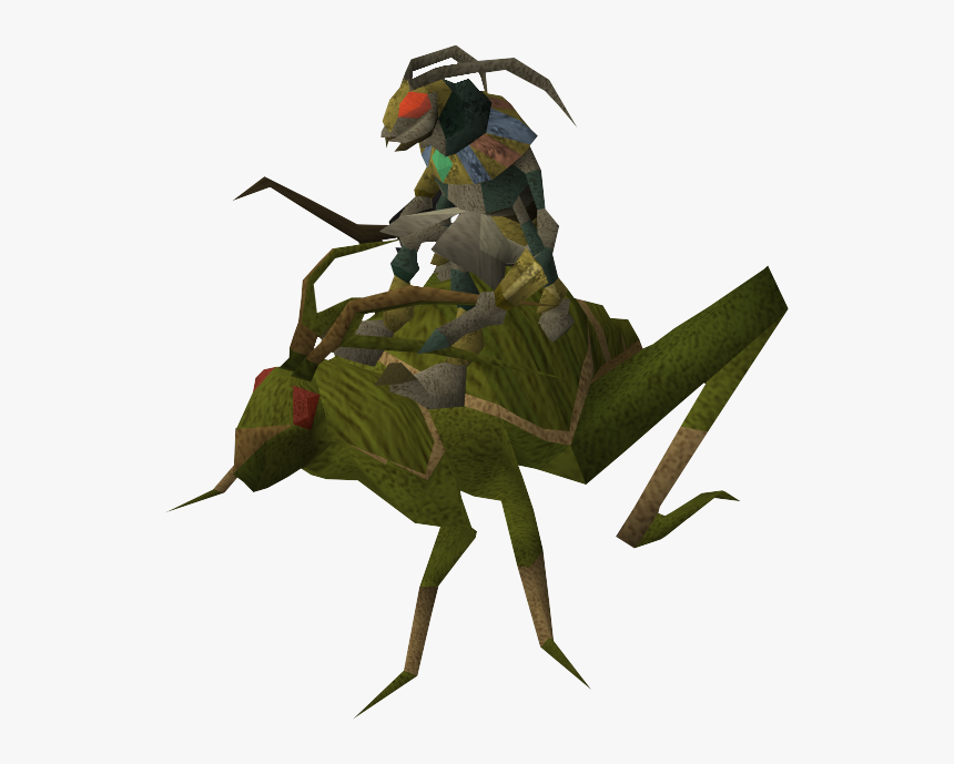 Grasshopper, HD Png Download, Free Download