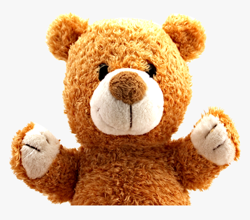 Teddy Bear Png Image - Teddy Bear Png Transparent, Png Download, Free Download