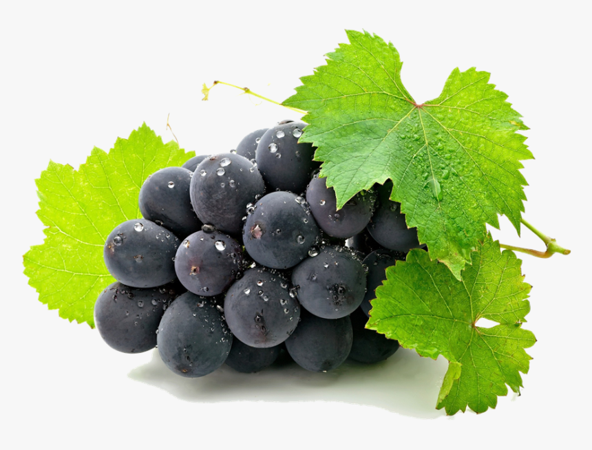 Download Grape Png Hd - Grapes Hd, Transparent Png, Free Download