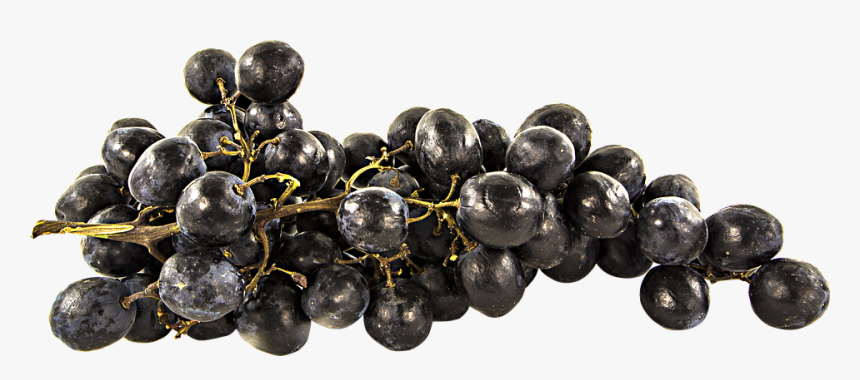 Fruit, Grapes, Png, Cutout, Transparent, Vitis - Anggur Png, Png ...