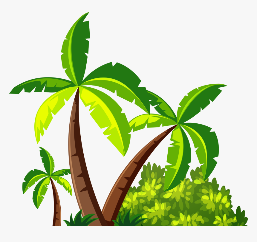 coconut tree images clipart
