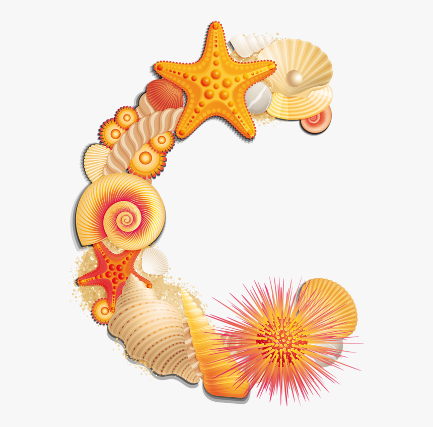 Beach Letter C - Seashell Letter S Clipart, HD Png Download, Free Download