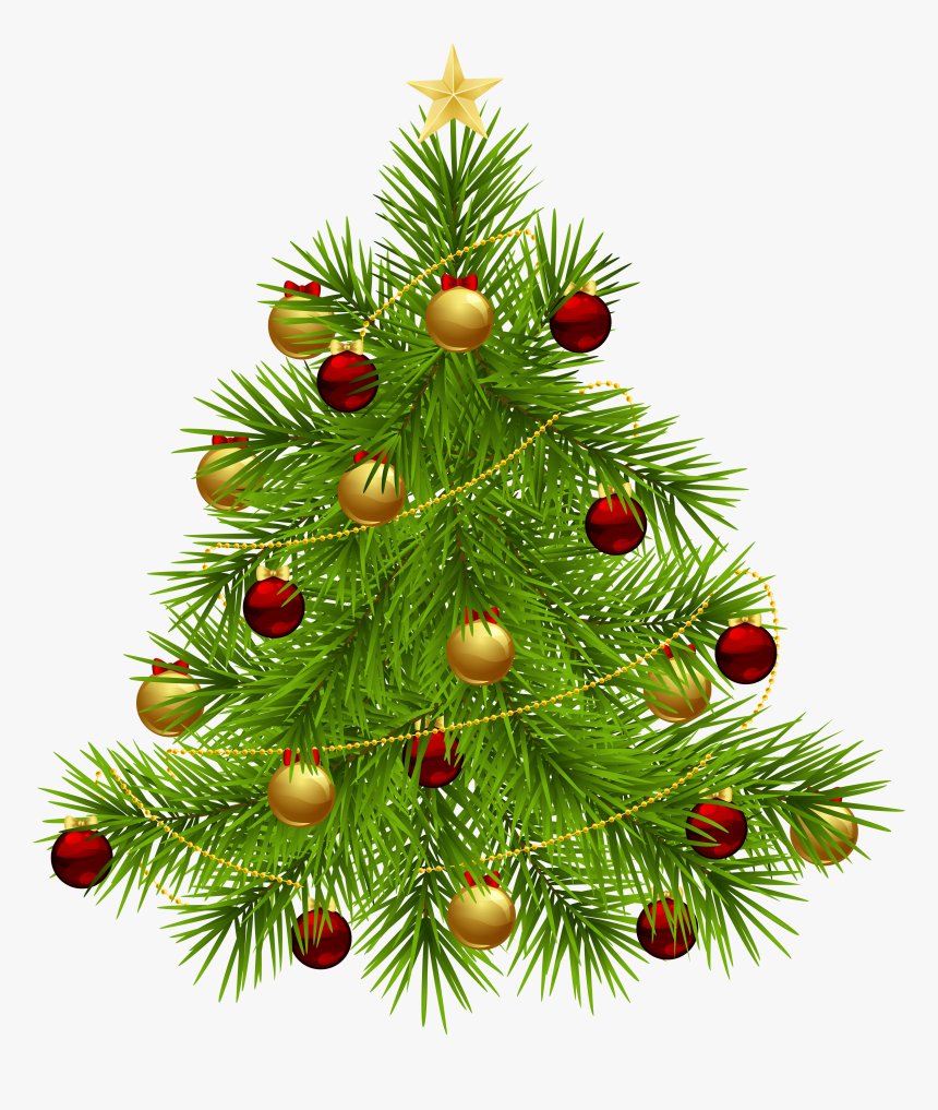 Transparent Christmas Tree Clipart Hd Png Download Kindpng