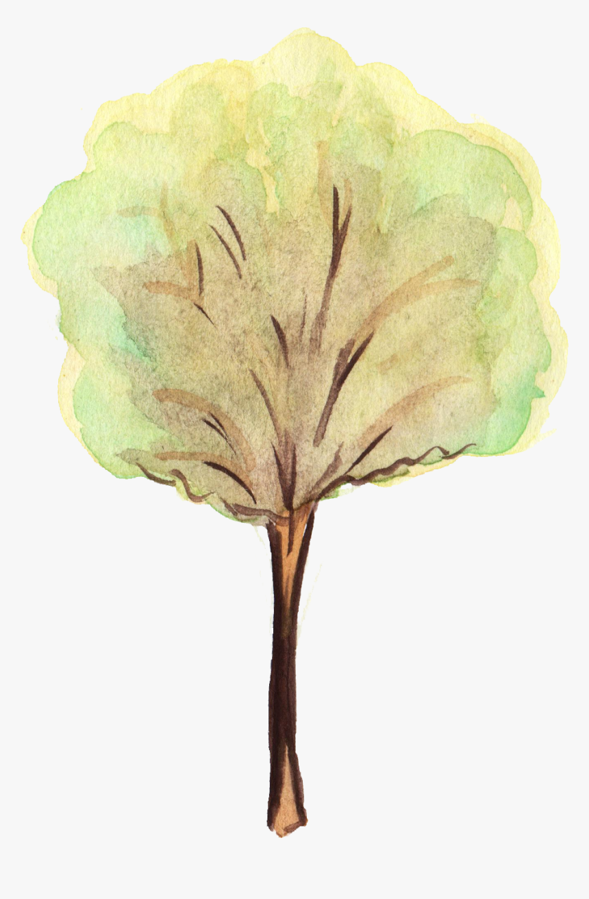 Png Water Color Tree - Tree Water Color Png, Transparent Png, Free Download