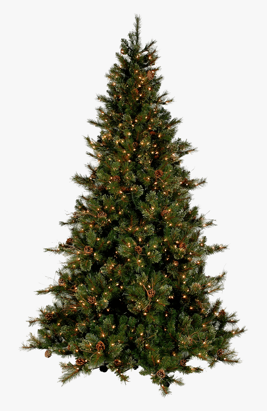Christmas Tree Modern - Real Christmas Tree Png, Transparent Png, Free Download