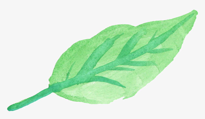 Leaf Water Color Png, Transparent Png, Free Download