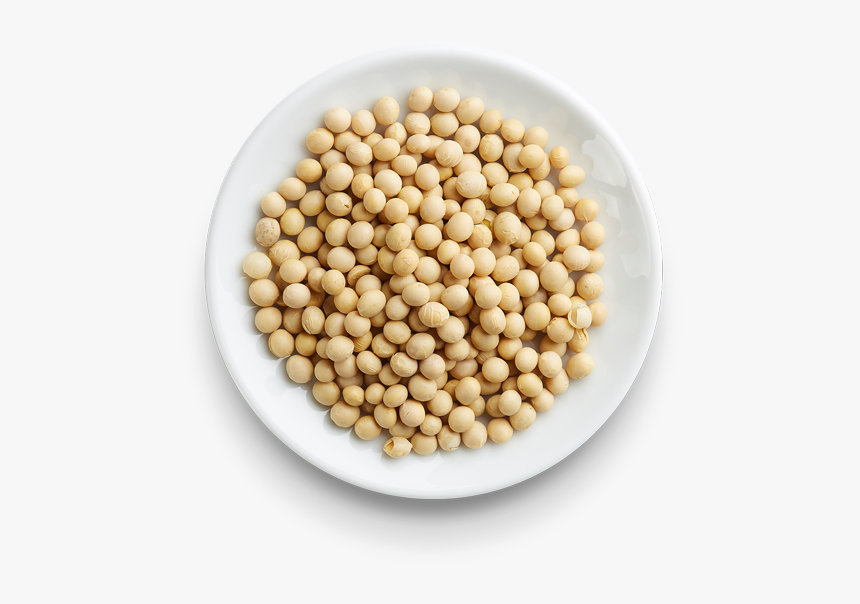 Soybean Png, Transparent Png, Free Download