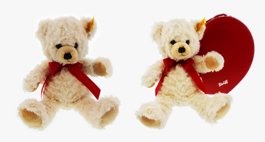 Teddy, Plush, Isolated, Teddy Bear, Soft Toy, Toys, HD Png Download, Free Download