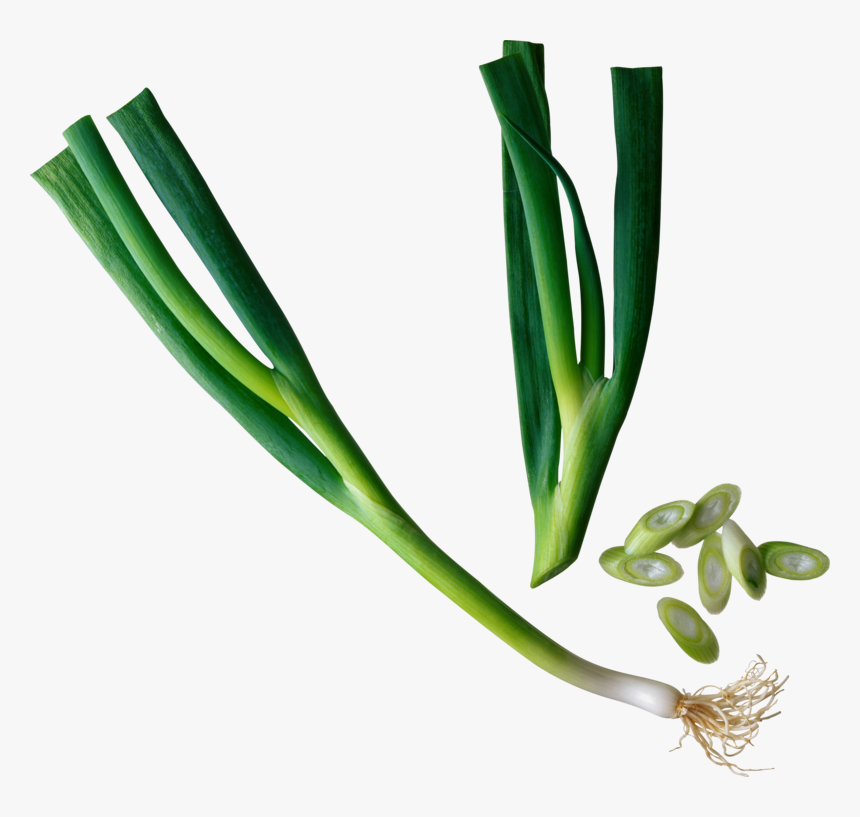 Chinese Onion Png, Transparent Png, Free Download