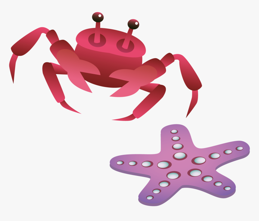 Crabs Clipart Stafish - Freshwater Crab, HD Png Download, Free Download