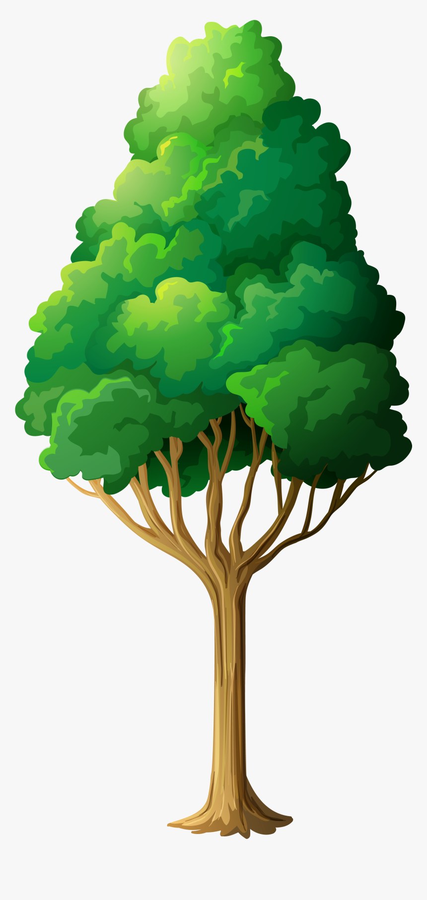 Tree Clipart - Frog Under The Tree, HD Png Download, Free Download