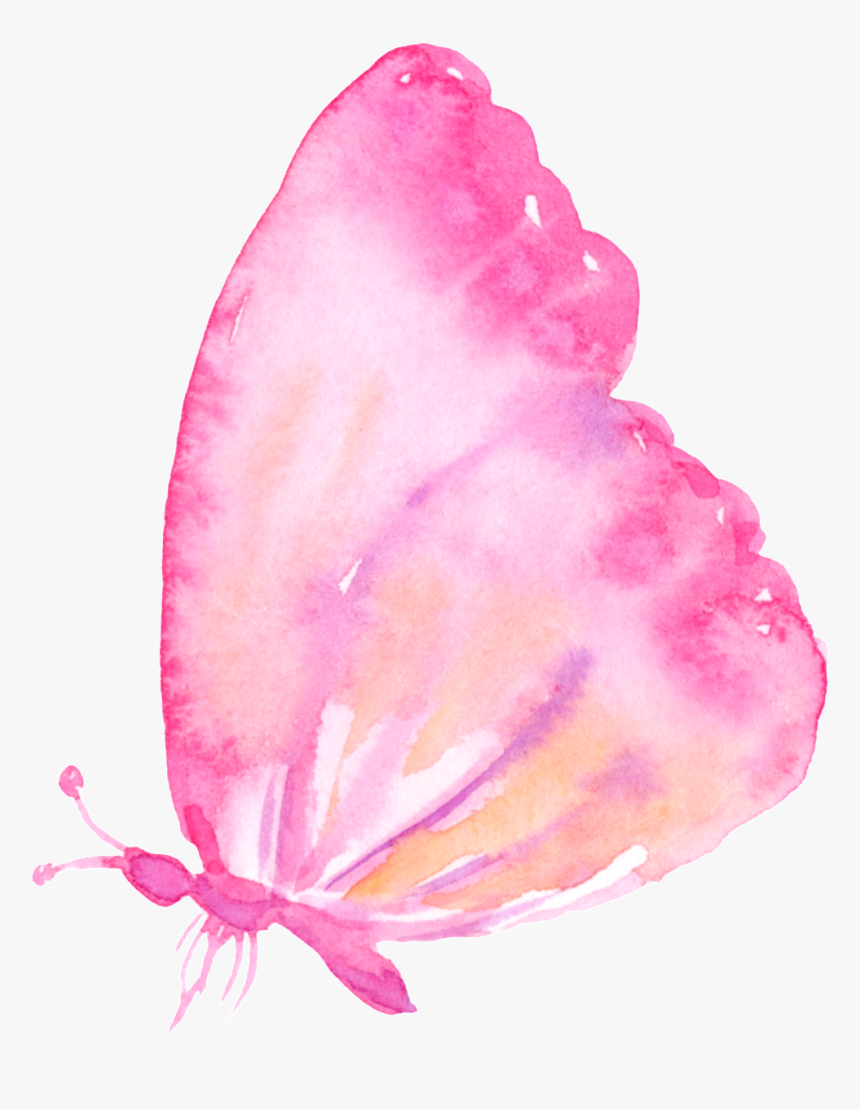 Pink Butterfly Cartoon Transparent - Borboleta Png Fundo Transparente, Png Download, Free Download