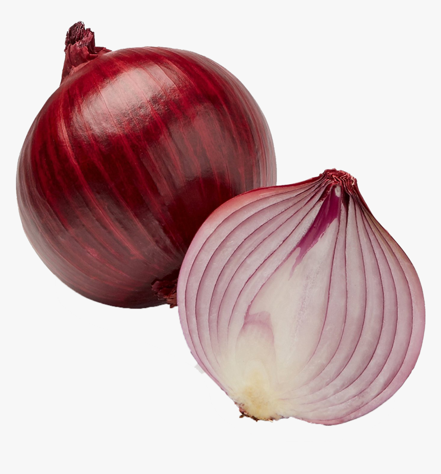 Onion Transparent File - Red Onion, HD Png Download, Free Download