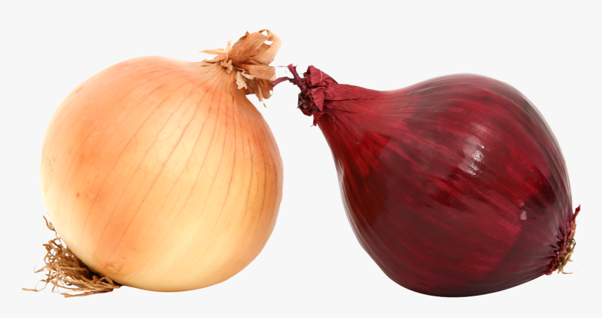 Yellow Onion Png, Transparent Png, Free Download