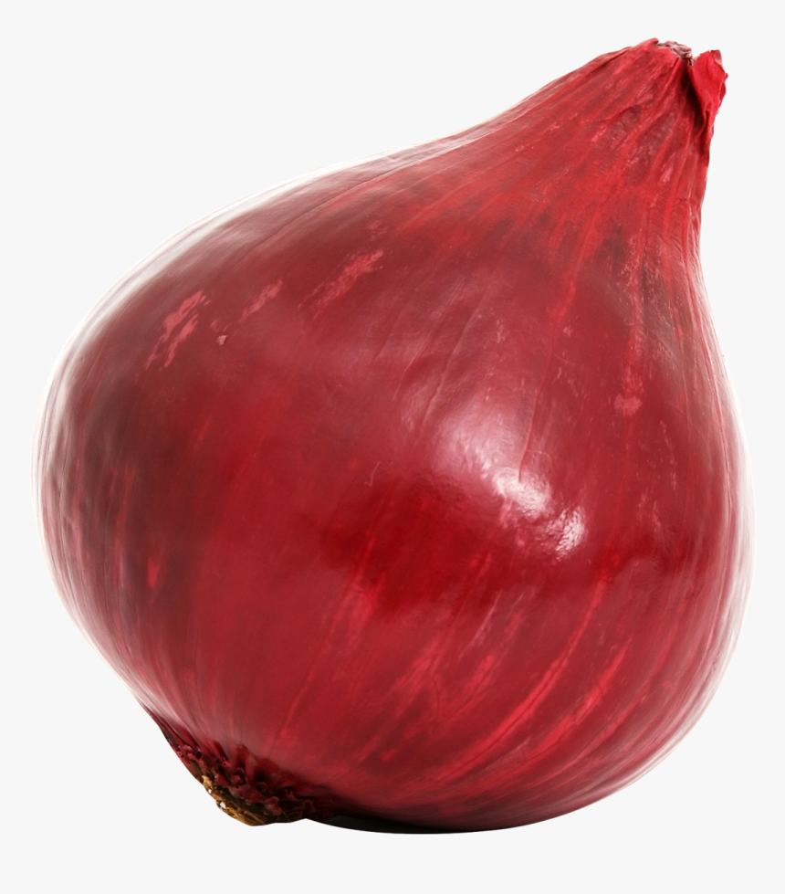 Red Onion Bulb Png Image - Onion, Transparent Png, Free Download