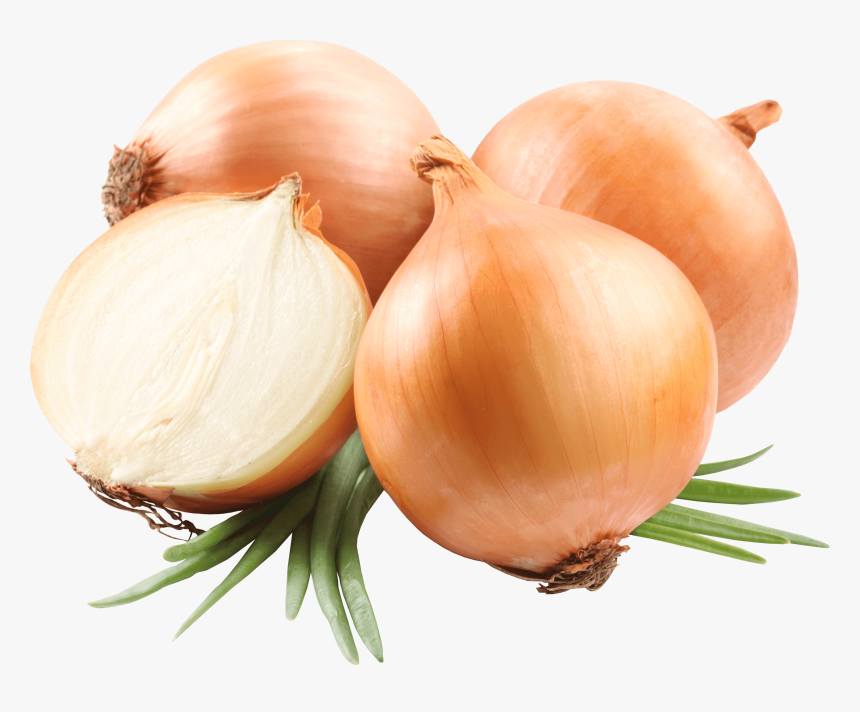 Transparent Png Stickpng A - Onion Png, Png Download, Free Download