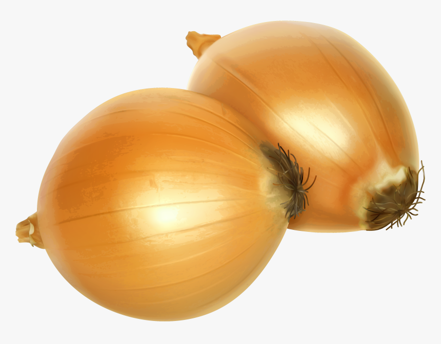 Png Gallery Yopriceville High - Onions Clipart, Transparent Png, Free Download