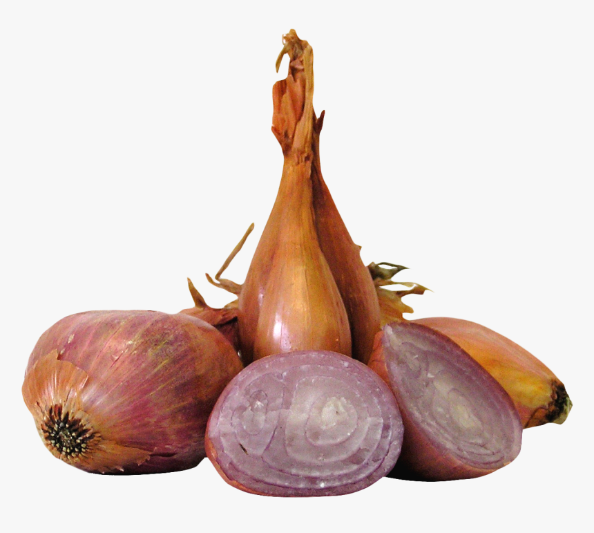 Shallot Png, Transparent Png, Free Download