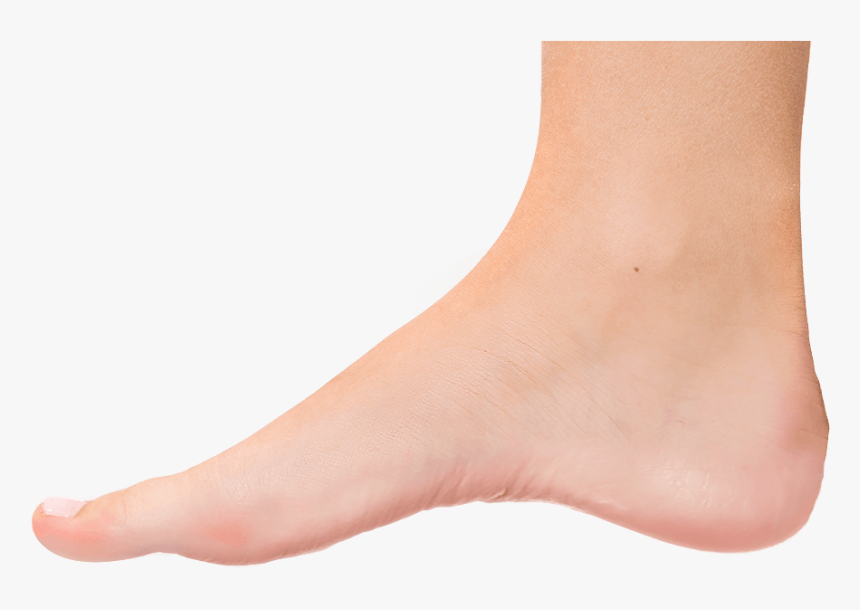 Foot Transparent, HD Png Download, Free Download