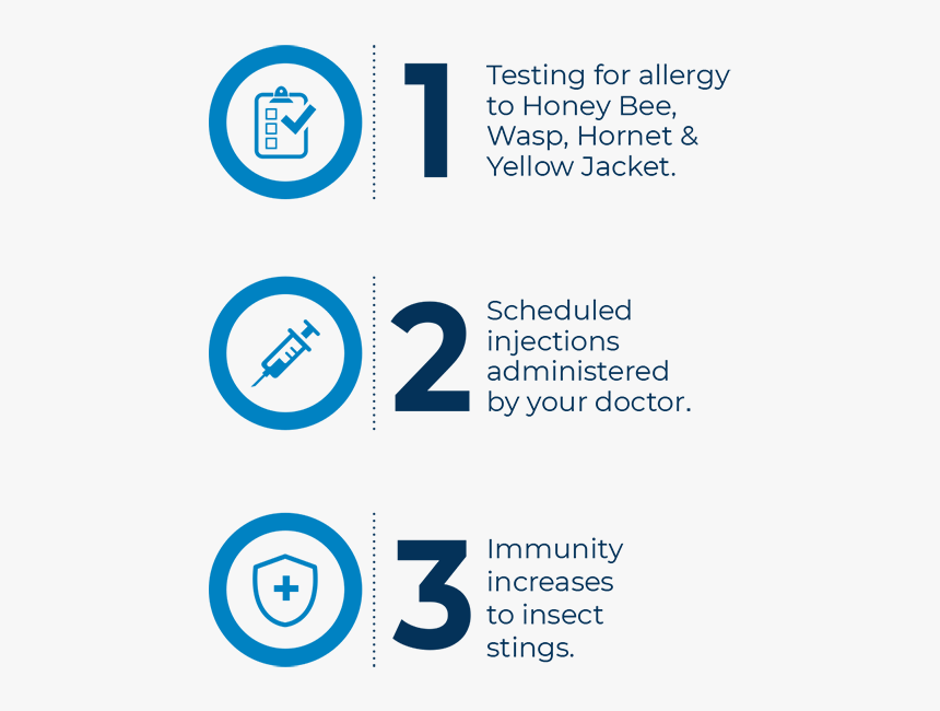 See How Vit Works - Electric Blue, HD Png Download, Free Download