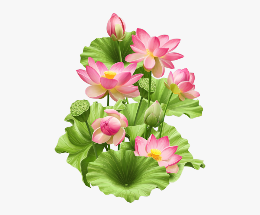 Hình ảnh hoa sen đẹp là nguồn cảm hứng tuyệt vời cho những người yêu mỹ thuật. Với Hoa Sen Đẹp Psd, HD Png Download tại kindpng, bạn sẽ dễ dàng tải về những hình ảnh hoa sen đẹp nhất và sử dụng chúng để tạo ra những tác phẩm tranh độc đáo.