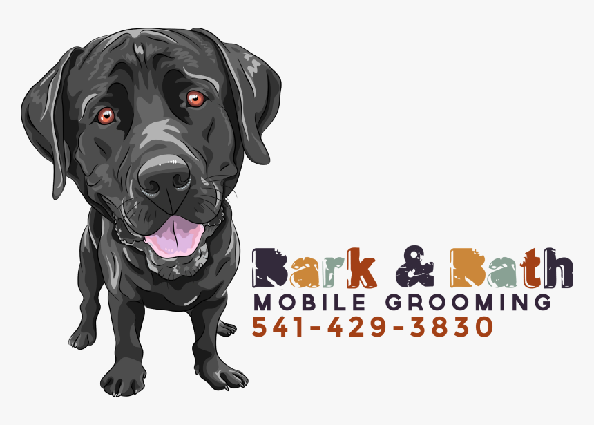 Image68 - Cartoon Labrador Png, Transparent Png, Free Download