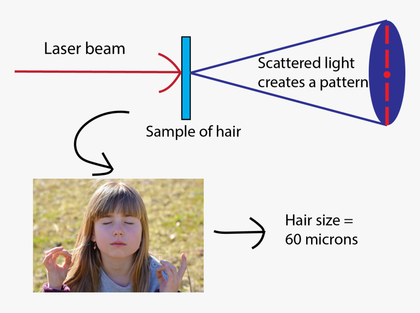 Supporting Image - Measure Thickness Of Hair, HD Png Download, Free Download