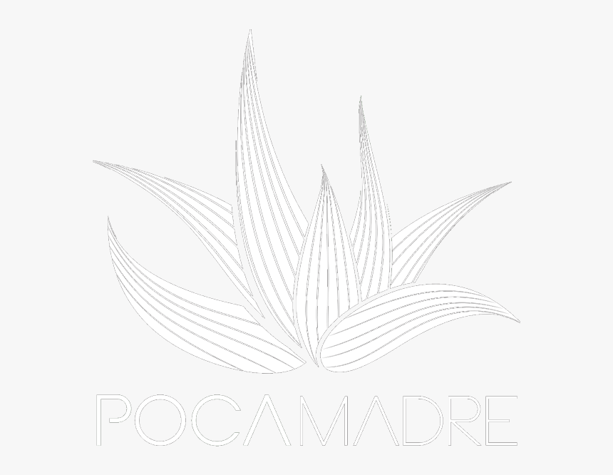Poca Madre Dc Logo, HD Png Download, Free Download
